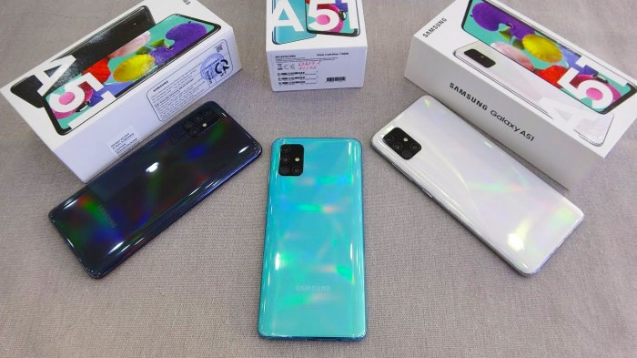 Samsung galaxy a 51