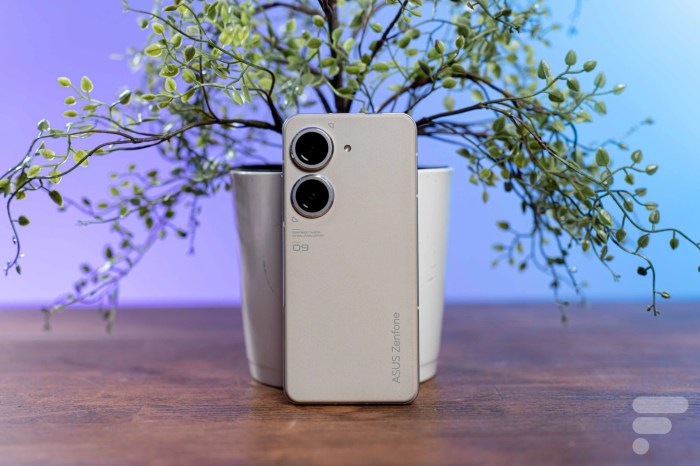 Asus zenfone 10